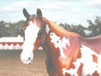 Matriarch Painted by Julie Doyle