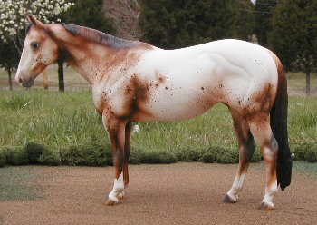 Matriarch Painted by Julie Doyle