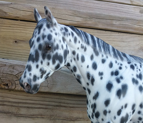 Matriarch Painted by Sherry Clayton