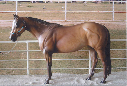 Matriarch Painted by Karen Dietrich