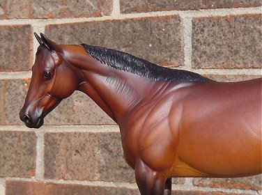 Matriarch Painted by Karla Rankin