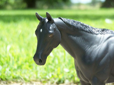 Matriarch Painted by Lydia Auten-Ernzt