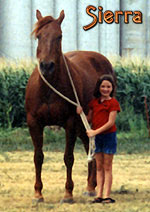 Sierra