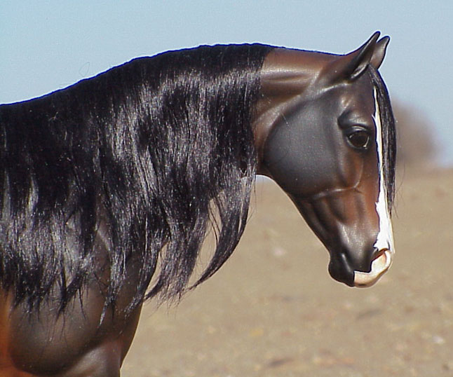 Peter Stone ISH painted by C. Williams