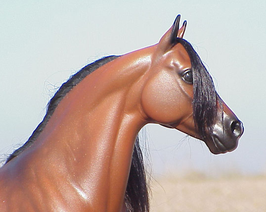 Custom painted by C. Williams