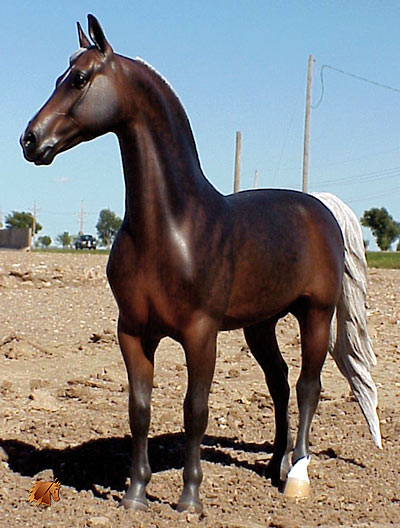 Rose UVM Yesteryear painted by C. Williams