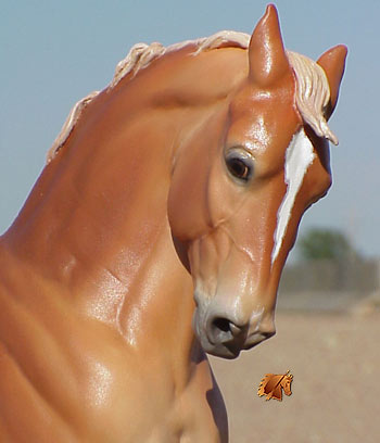 York 513/CAMARO painted by C. Williams