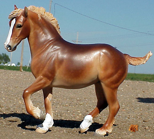 York 'Vette painted by C. Williams