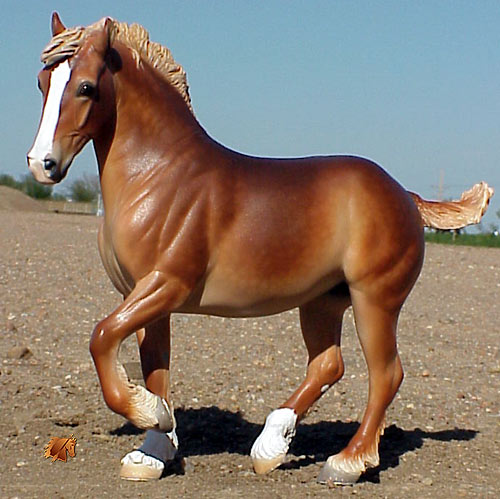 York 'Vette painted by C. Williams