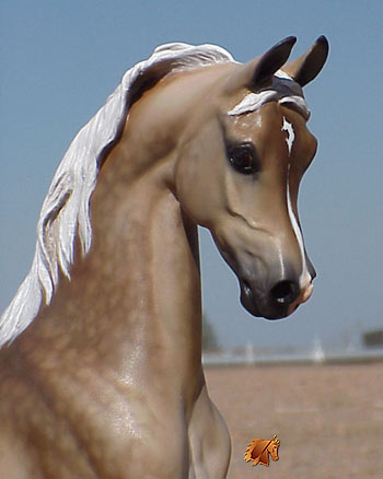 Bogucki Aashiq painted by C. Williams