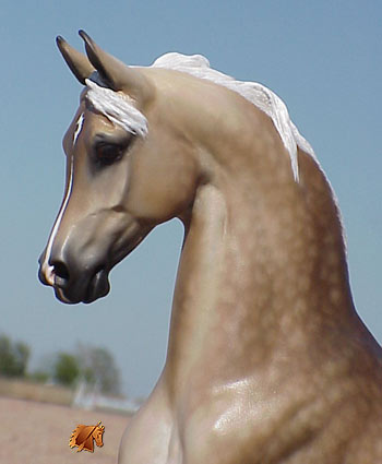 Bogucki Aashiq painted by C. Williams