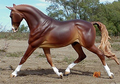 Kilbourn Deputed Duke painted by C. Williams