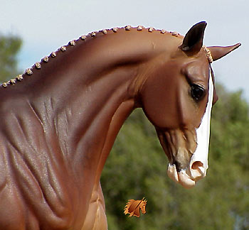 Kilbourn Deputed Duke painted by C. Williams