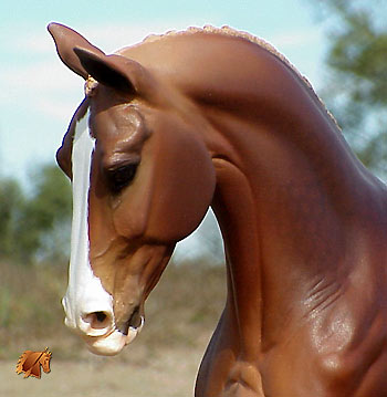 Kilbourn Deputed Duke painted by C. Williams