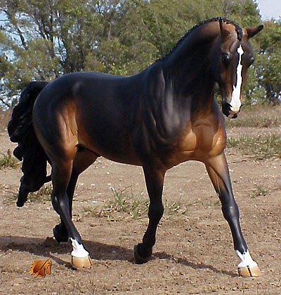 Kilbourn Deputed Duke painted by C. Williams