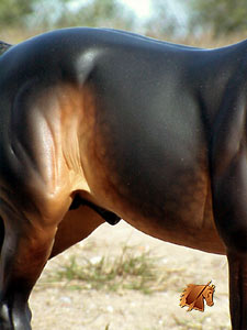 Kilbourn Deputed Duke painted by C. Williams