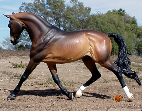 Kilbourn Deputed Duke painted by C. Williams