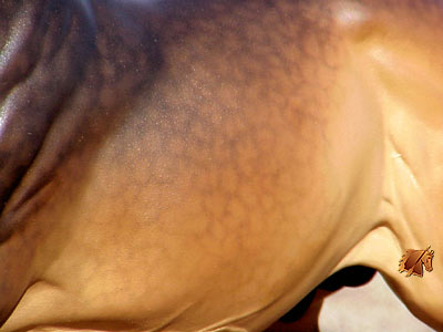 Kilbourn Deputed Duke painted by C. Williams