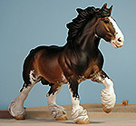 Painted by C. Williams