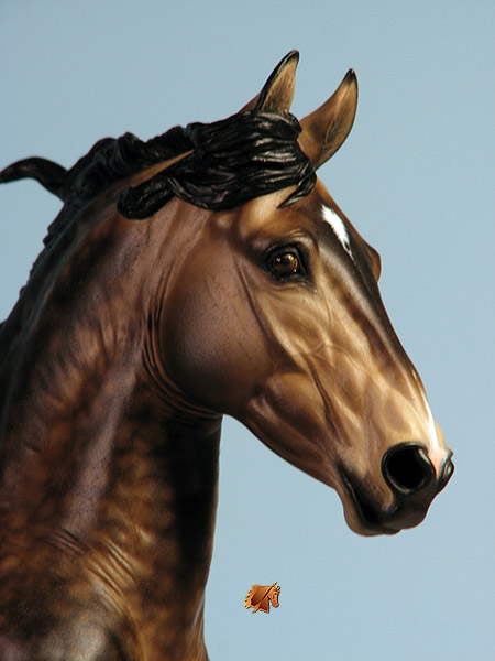 Kurila Lucius painted by C. Williams