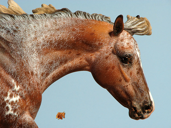 Breyer BobbyJo painted by C. Williams