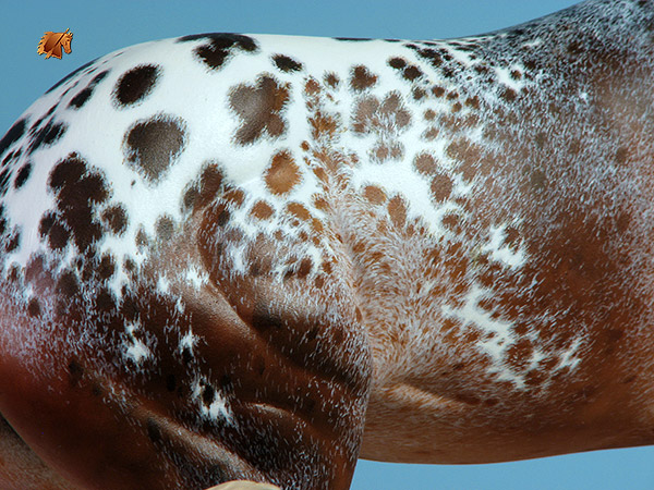 Breyer BobbyJo painted by C. Williams