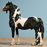 Painted by C. Williams