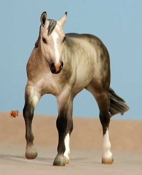 Rose Little Lonestar painted by C. Williams