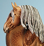 Painted by C. Williams