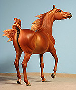 Painted by C. Williams