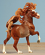 Painted by C. Williams