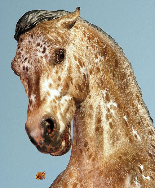 Eberl Ginger painted by C. Williams