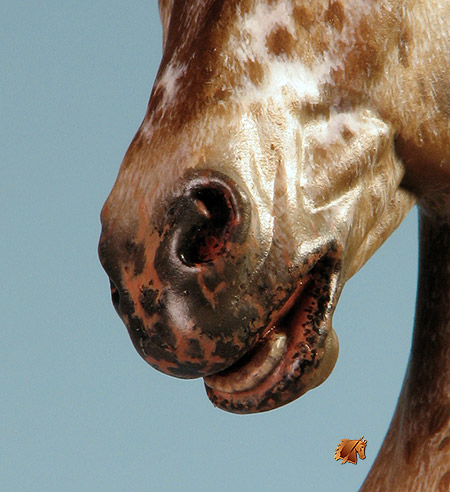 Eberl Ginger painted by C. Williams