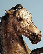 Painted by C. Williams