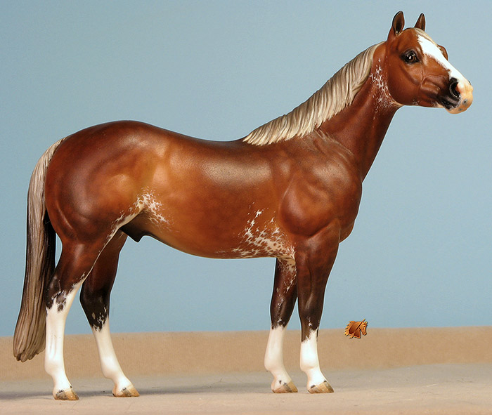 Custom Breyer CQHS  by C. Williams