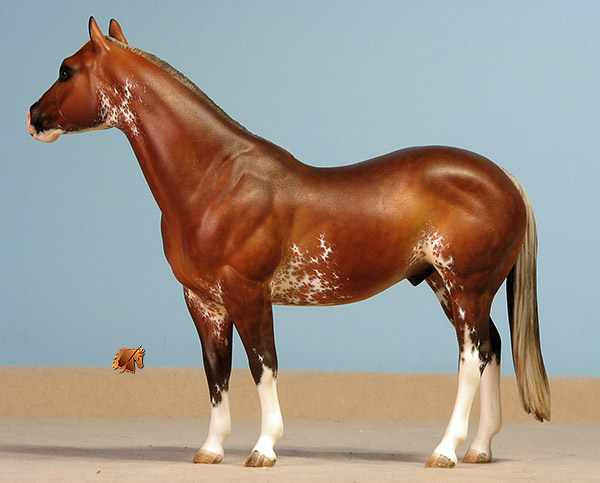 Custom Breyer CQHS  by C. Williams