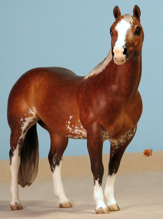 Custom Breyer CQHS  by C. Williams