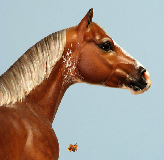 Custom Breyer CQHS  by C. Williams