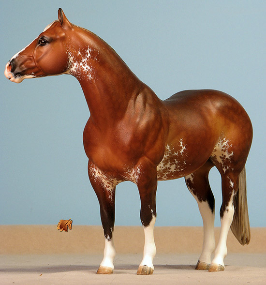 Custom Breyer CQHS  by C. Williams
