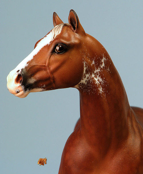 Custom Breyer CQHS  by C. Williams