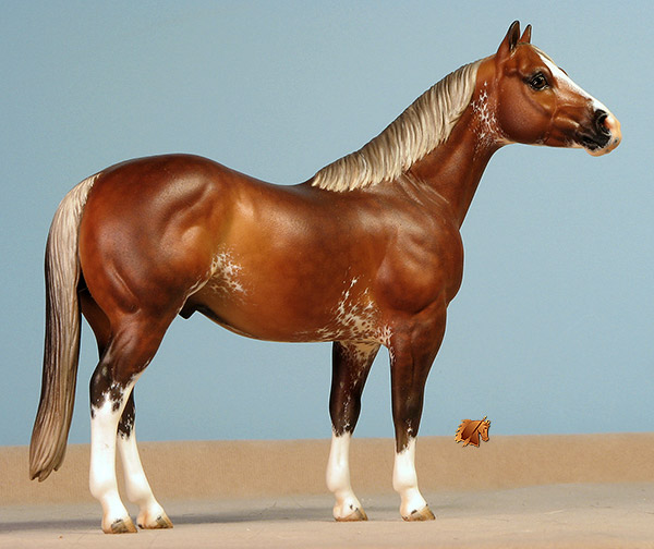 Custom Breyer CQHS  by C. Williams