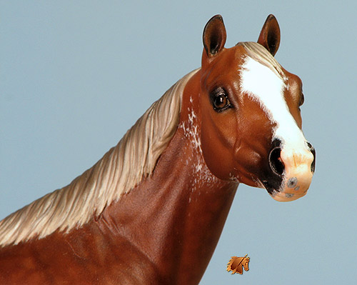 Custom Breyer CQHS  by C. Williams