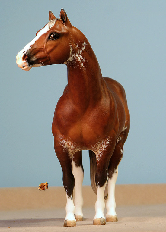 Custom Breyer CQHS  by C. Williams