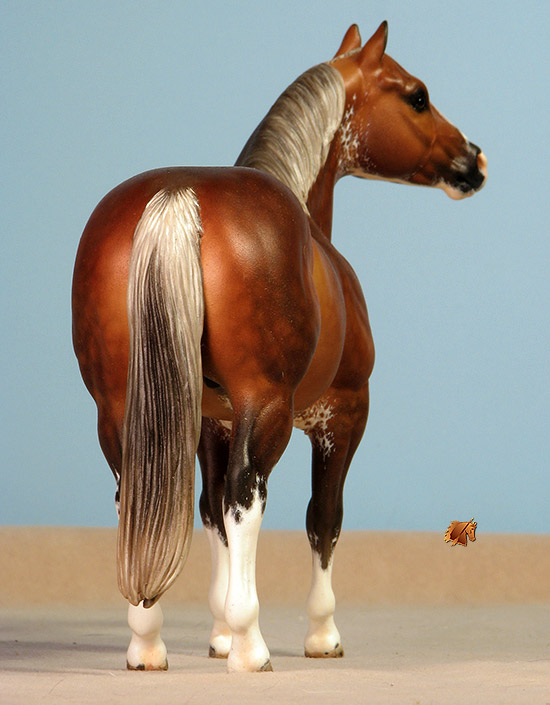 Custom Breyer CQHS  by C. Williams