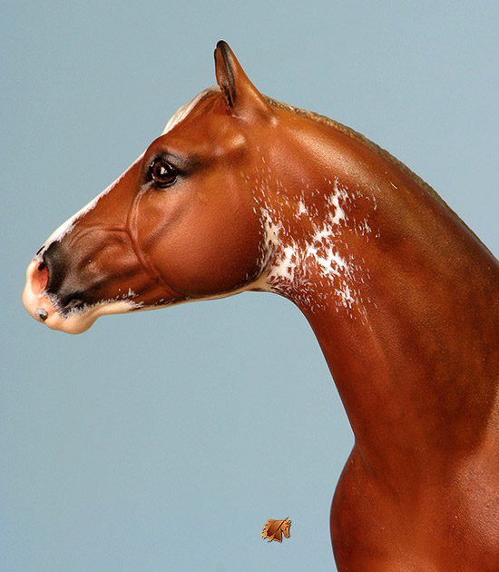 Custom Breyer CQHS  by C. Williams