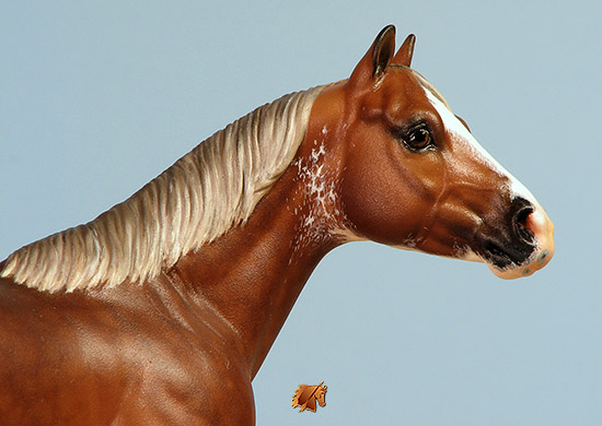 Custom Breyer CQHS  by C. Williams