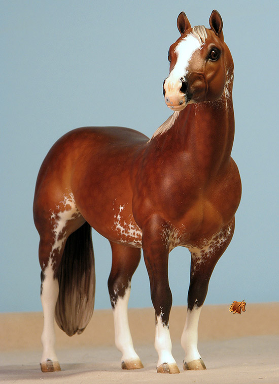 Custom Breyer CQHS  by C. Williams