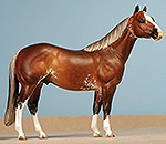 Painted by C. Williams