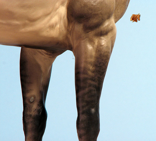 Scott Levi Denim painted by C. Williams