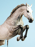 Painted by C. Williams